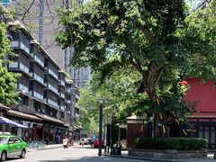 -粤式轩广东茶餐厅(草市街店)