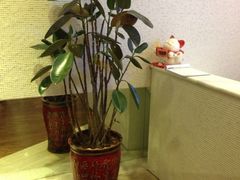 -CLASS国际公馆诺伯曼超越运动会馆