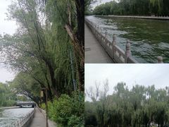 -南长河公园