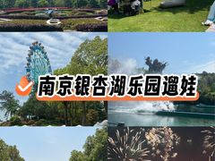 -南京银杏湖乐园