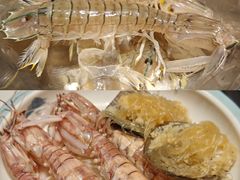 -天鹰观渔(梦园店)