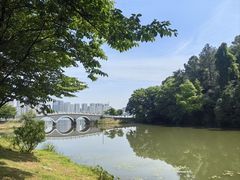 -团城山公园