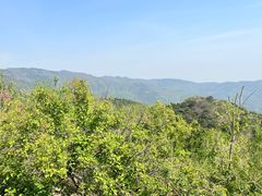 -北京西山国家森林公园