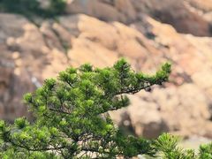 -宁波松兰山滨海旅游度假区