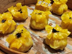 -点都德·毕德寮