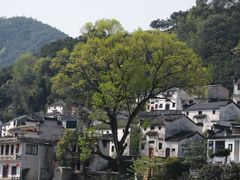 -新安江山水画廊风景区