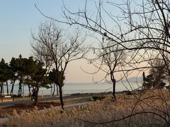 -青岛海泉湾度假区温泉