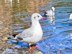 -丽江泸沽湖景区