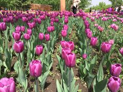 -长春公园(普阳街道)