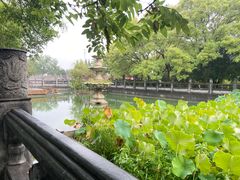 -洛阳白马寺