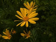 -蠡湖大桥公园