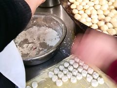 糖油果子-邓记新一代糖油果子(四川煤管局供销公司职工宿舍店)
