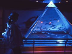 -大连圣亚海洋世界