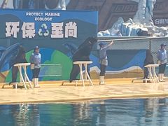 -秦皇岛乐岛海洋王国