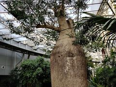 -北京植物园-展览温室