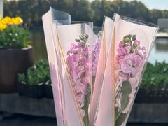-上海鲜花港