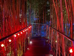 -三利音·浦之舟(滨江大道店)