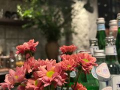 -Apollo·西班牙小酒馆(安福路店)