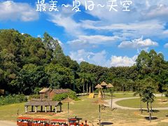 -广州长隆野生动物世界