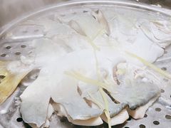 -天鹰观渔(梦园店)