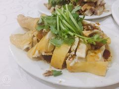 白切鸡-电白鸭粥店(下沙二坊88号店)