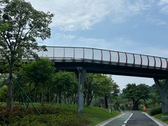 -王借岗森林公园
