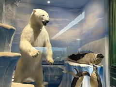 -国家自然博物馆