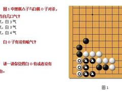 -智韵素养黎明练字(莘庄校区)