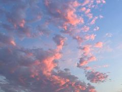 -同里湖大饭店-怡景轩中餐厅(同里古镇店)