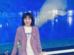 -泉城欧乐堡海洋极地世界
