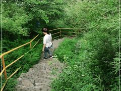 -野三坡清泉山风景区