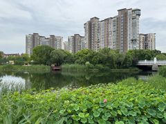 -新江湾城公园