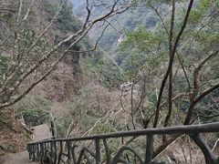 -龙湾潭国家森林公园