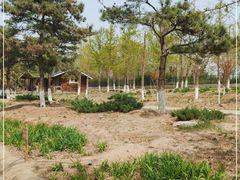 -绿堤公园