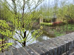 -嬉乐湾休闲旅游区