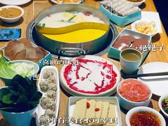 -青瓷火锅料理(西单大悦城店)