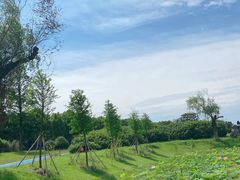 -宜兴龙背山森林公园