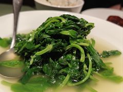 -老吉堂上海本帮菜(望京万象汇店)