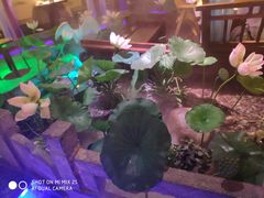 -韵秋荷(宝山龙湖天街店)