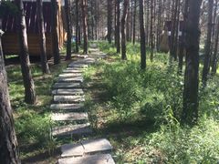 -北纬44度·金珠花海休闲农业旅游景区