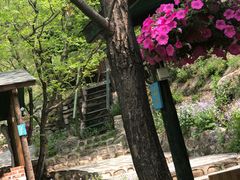 -北京水岸山吧度假村(雁栖镇店)