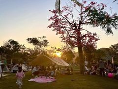 -白石龙音乐公园