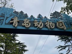 -青岛动物园