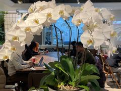 大堂-Peet's 皮爷咖啡(东湖路手作店)