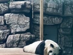 -大青山野生动物园
