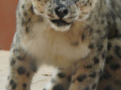 -青藏高原野生动物园
