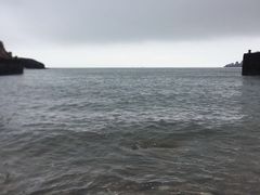 -枸杞岛