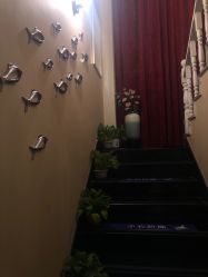 -唯伊美塑身美养连锁