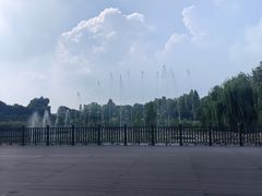 -微山湖红荷湿地景区