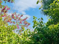 -天津东丽湖风景区